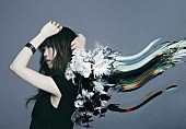 「Aimer、アニメ『王様ランキング 勇気の宝箱』エンディングテーマを担当」1枚目/3