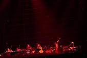 Aimer「【Aimer Arena Tour 2023 -nuit immersive-】
2023年3月18日（土）愛知・日本ガイシホール
Photo by 加藤アラタ」3枚目/7