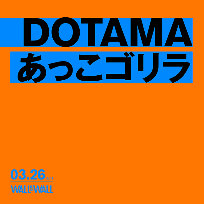 「DOTAMA×あっこゴリラのツーマンライブがWALL&amp;WALLにて開催」1枚目/1