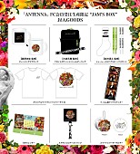 「	Mrs. GREEN APPLE アルバム『ANTENNA』FC会員受注生産限定 “JAM&amp;#039;S BOX”グッズ」2枚目/3