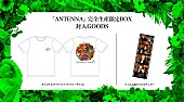「	Mrs. GREEN APPLE アルバム『ANTENNA』完全生産限定BOXグッズ」3枚目/3