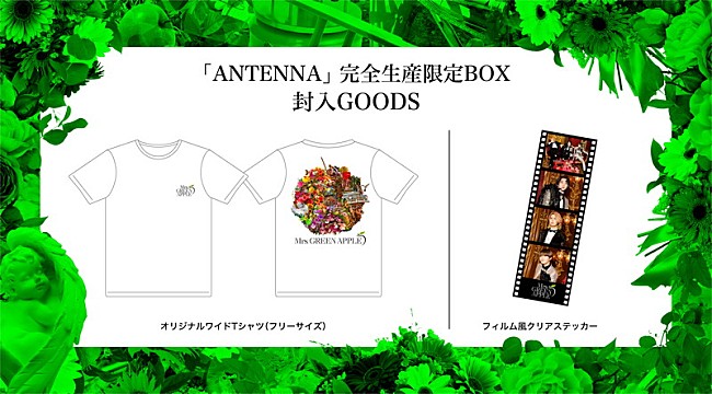 「	Mrs. GREEN APPLE アルバム『ANTENNA』完全生産限定BOXグッズ」3枚目/3