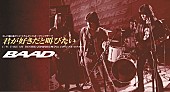 「『スラダン』OP曲「君が好きだと叫びたい」のバンド“BAAD”、デビュー30周年＆ライブ出演決定」1枚目/2