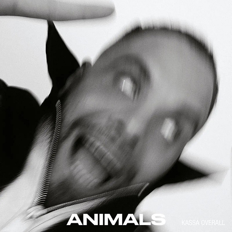 カッサ・オーバーオール、ニュー・アルバム『ANIMALS』5/26リリース＆新曲「Make My Way Back Home」公開