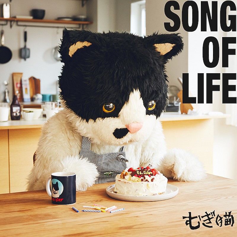 「むぎ(猫)、AL表題曲「song of life」先行配信リリース決定」1枚目/2
