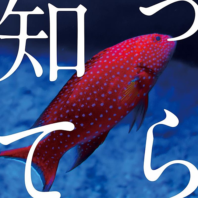 「忘れらんねえよ、ドラマ『シガテラ』EDテーマ「知ってら」4/21配信リリース決定」1枚目/2