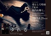 「TK（凛として時雨）エッセイ『ゆれる』ポスター」2枚目/2