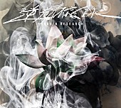 「『逆光備忘録』初回生産限定盤」5枚目/6