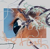 「the hatch『shape of raw to come』」7枚目/8