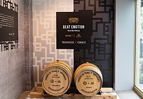 メ*ー様 布袋BEAT EMOTION GRACE & TRIANGLE 2本セ メ*ー様 布袋BEAT EMOTION GRACE & TRIANGLE 2本セ