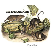「Hi-STANDARD「I’M A RAT」が、米所属レーベルから7インチ・ピクチャー・ディスクでリリース」1枚目/2
