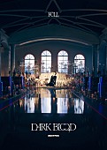 「ENHYPEN ミニアルバム『DARK BLOOD』ムードボード」4枚目/6