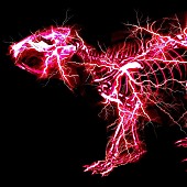 「SUPER BEAVER シングル『グラデーション』」2枚目/3