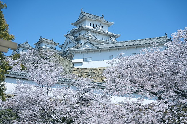 「姫路城」2枚目/4