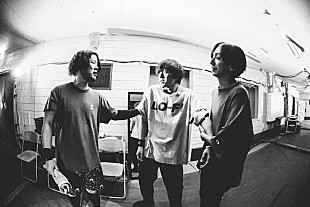 「My Hair is Bad、ライブ映像作品【アルティメットホームランツアー】新アーティスト写真公開」