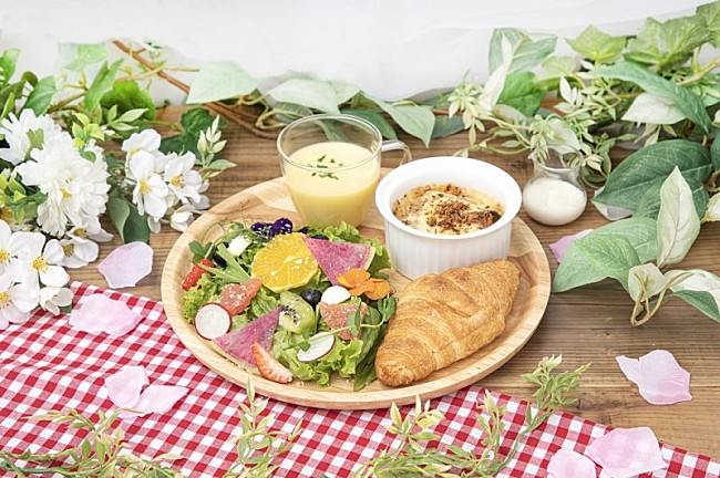 「※画像はイメージです」11枚目/20