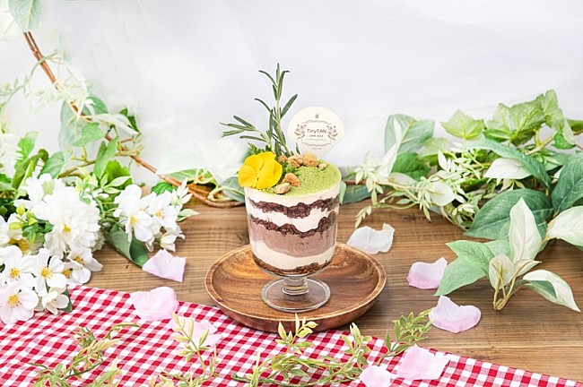 「※画像はイメージです」14枚目/20