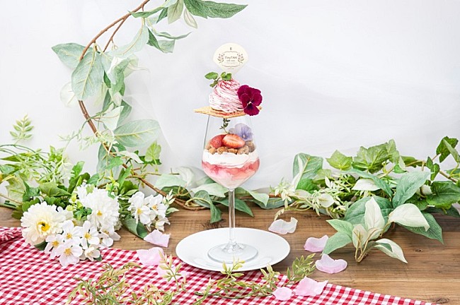 「※画像はイメージです」16枚目/20