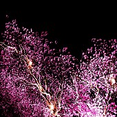 「【Heatseekers Songs】神はサイコロを振らない「修羅の巷」初の首位獲得　Furui Riho／Dannie May／DSDCら新曲ラッシュ」1枚目/1