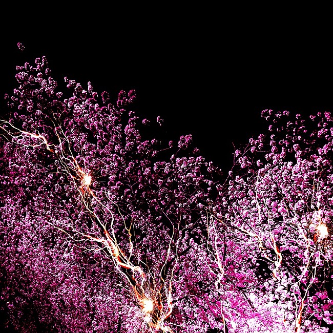 「【Heatseekers Songs】神はサイコロを振らない「修羅の巷」初の首位獲得　Furui Riho／Dannie May／DSDCら新曲ラッシュ」1枚目/1