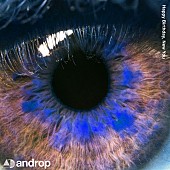 「	androp 配信シングル「Happy Birthday, New You」」2枚目/2