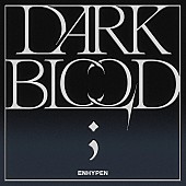 「【ビルボード】ENHYPEN『DARK BLOOD』、自身初となるDLアルバム首位」1枚目/1