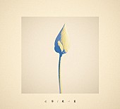 「Uru シングル『心得/紙一重』ドラマ盤」3枚目/5