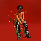 「d4vd、デビューEP『ペタルズ・トゥ・ソーンズ』が日本限定でCD化」1枚目/1