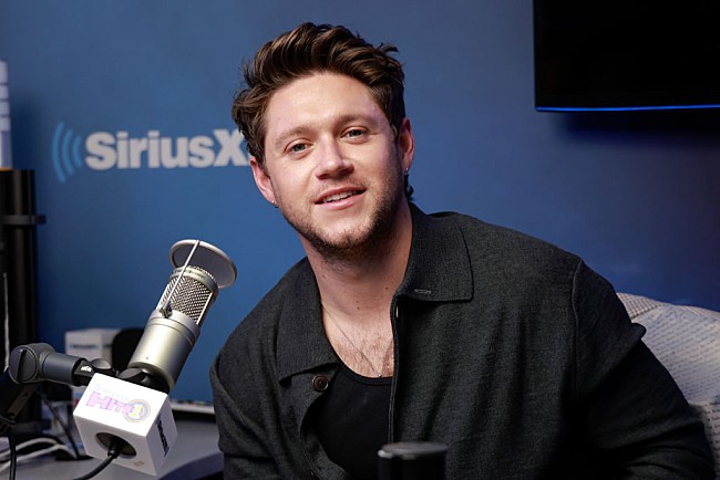 「ナイル・ホーラン、今後のライブでワン・ダイレクションの曲を披露する予定と明かす」1枚目/1