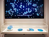 「やくしまるえつこ『わたしは人類』、120年以上の歴史を持つドイツ衛生博物館で展示」1枚目/3