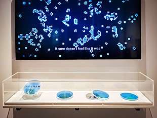 「やくしまるえつこ『わたしは人類』、120年以上の歴史を持つドイツ衛生博物館で展示」