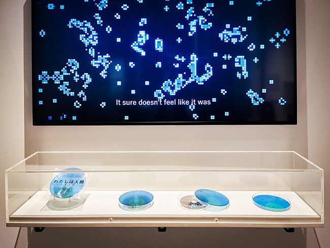 「やくしまるえつこ『わたしは人類』、120年以上の歴史を持つドイツ衛生博物館で展示」1枚目/3