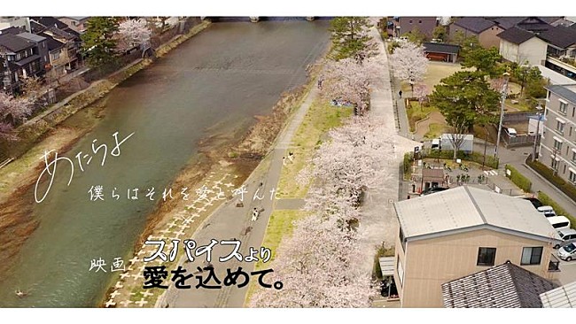 「あたらよ、映画『スパイスより愛を込めて。』主題歌「僕らはそれを愛と呼んだ」リリックビデオ公開」1枚目/2