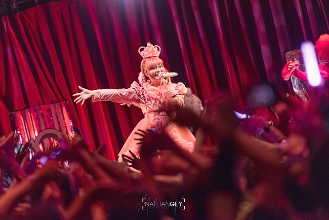 「写真提供：NATHAN GEY - NATHAN GEY」6枚目/20