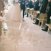 「	DISH// 配信シングル「ウェディングソング」」2枚目/2