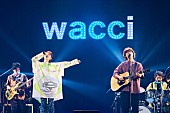 「wacci×asmiが「リバイバル」ライブ初披露、ナオト・インティライミ＆川崎鷹也もwacciライブにゲスト出演へ」1枚目/6