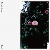 「Shin Sakiura、4thアルバムより自身初歌唱の新曲「bud」リリース」1枚目/2