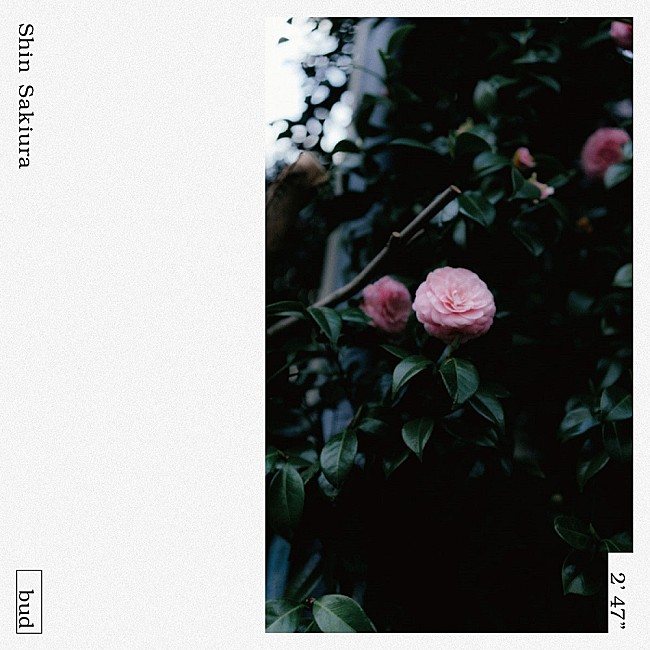 「Shin Sakiura、4thアルバムより自身初歌唱の新曲「bud」リリース」1枚目/2