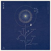 「Da-iCE「スターマイン」自身2曲目のストリーミング累計1億回再生突破」1枚目/1