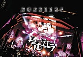 「アルカラ、日比谷野音公演の映像作品リリース決定」1枚目/2