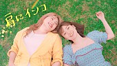 「野呂佳代、大島優子との友情を歌ったデビューSG「肩にインコ」配信決定＆共演MV公開へ」1枚目/2