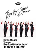 「BiSH LIVE Blu-ray＆DVD『Bye-Bye Show for Never at TOKYO DOME』」2枚目/2