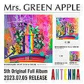 「Mrs. GREEN APPLE、ニューアルバム『ANTENNA』にシークレットコード封入」1枚目/5