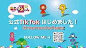 「ももくろちゃんZ、公式TikTokアカウント開設」1枚目/4