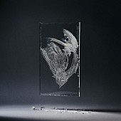 「Dos Monos、ジャンク品化したアクリルパネルを盤化したライブALを500枚限定で販売」1枚目/5