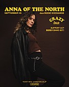 「アナ・オブ・ザ・ノース、来日公演のサポート・アクトが柴田聡子に決定」1枚目/1