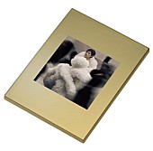 「宇多田ヒカル「Gold　～また逢う日まで～」プレオーダーキャンペーンノベルティ「オリジナルGoldミラー」」3枚目/3