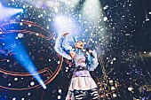 「＜ライブレポート＞水曜日のカンパネラ、詩羽のパワー溢れる【RABBIT STAR★TOUR】ファイナル、武道館ライブ開催の発表も」1枚目/15