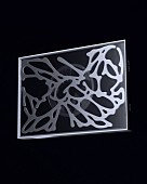 「XG ミニアルバム『NEW DNA』G ver.」4枚目/6