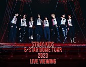 「Stray Kids、日本ドームツアーのライブ・ビューイング実施」1枚目/1